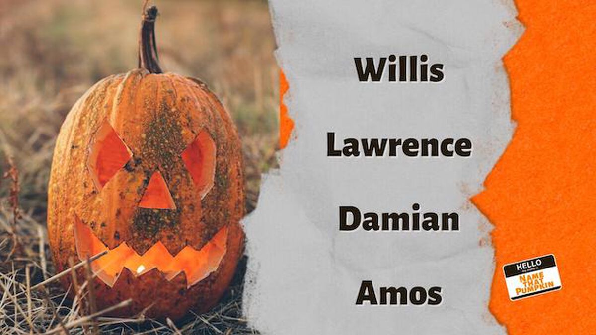 Name That Pumpkin image number null